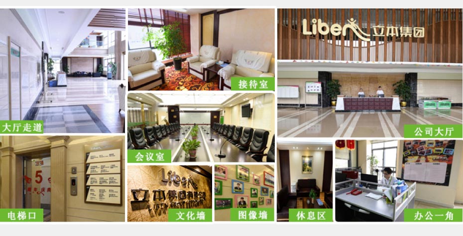 室內蹦蹦床廠家展示